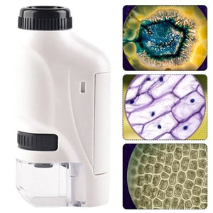 🔥🔥Microscope for children's development of intelligence